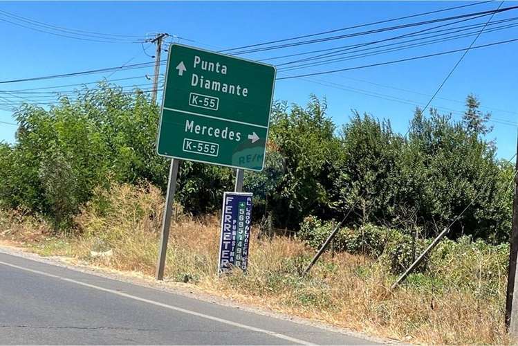 Se venden 11,6 has, parcela 18 sector purisima