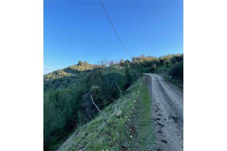 Vende terreno de 9.814 mts2 en cerro la virgen.