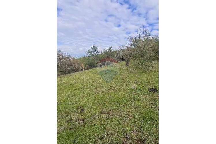 Vende terreno de 9.814 mts2 en cerro la virgen.