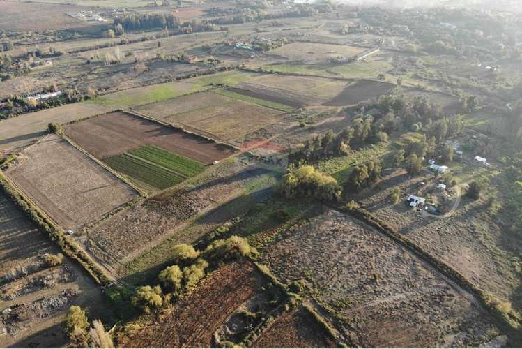 Se vende 20,2 ha santa maria huilquilemu talca