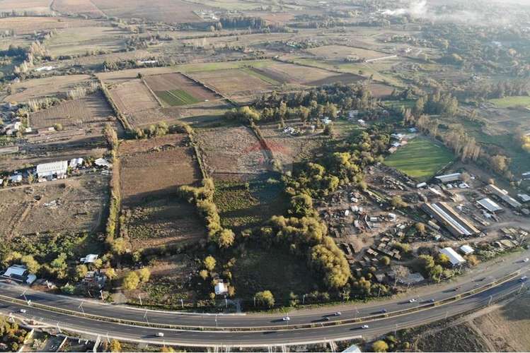 Se vende 20,2 ha santa maria huilquilemu talca