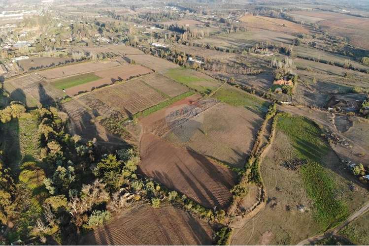 Se vende 20,2 ha santa maria huilquilemu talca
