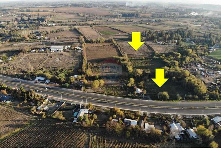 Se vende 20,2 ha santa maria huilquilemu talca