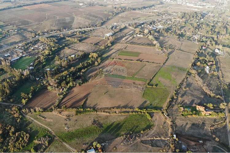 Se vende 20,2 ha santa maria huilquilemu talca