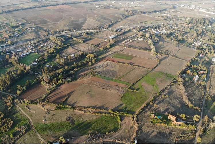 Se vende 20,2 ha santa maria huilquilemu talca