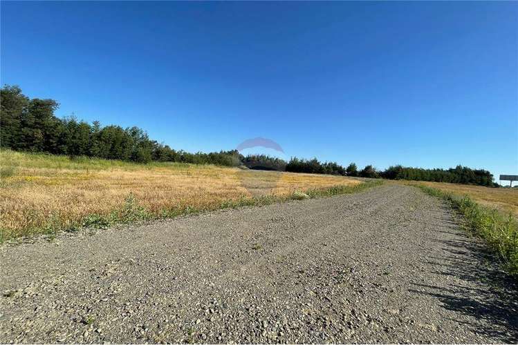 Arriendo lotes de 5.000 m2-3 uf x m2 cruce unihue.