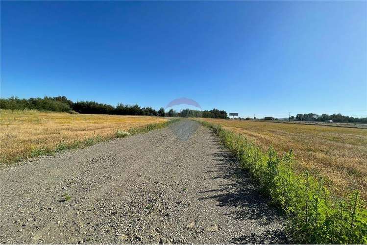 Arriendo lotes de 5.000 m2-3 uf x m2 cruce unihue.