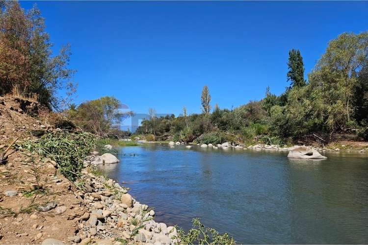 Se vende terreno 7,8 has , mas  casa y galpón - Imagen 28