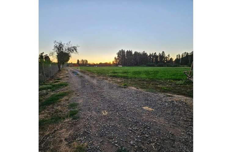 Se vende terreno 7,8 has , mas  casa y galpón - Imagen 7