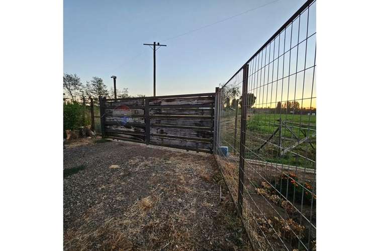 Se vende terreno 7,8 has , mas  casa y galpón - Imagen 6