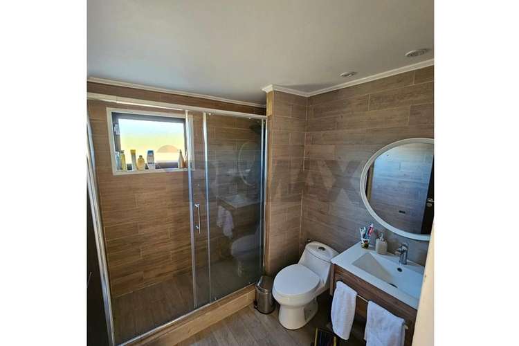 Se vende terreno 7,8 has , mas  casa y galpón - Imagen 17
