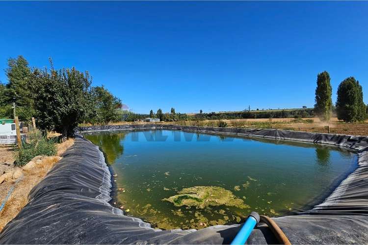 Se vende terreno 7,8 has , mas  casa y galpón - Imagen 4