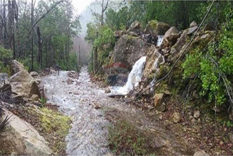 Se venden 2 parcelas de 5.500 m2 c/u linares - Imagen 14