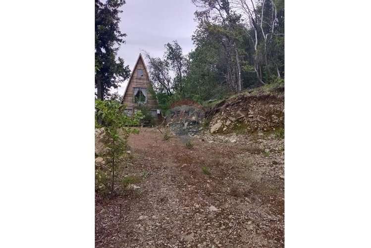 Se venden 2 parcelas de 5.500 m2 c/u linares - Imagen 5