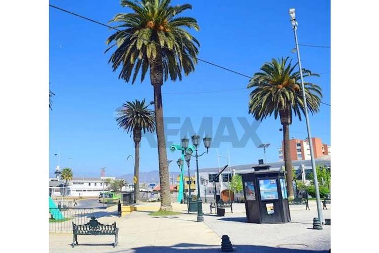Local comercial oportunidad coquimbo