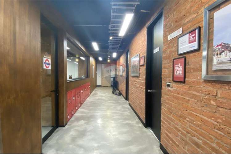 Oficina con terraza  privada - Imagen 4