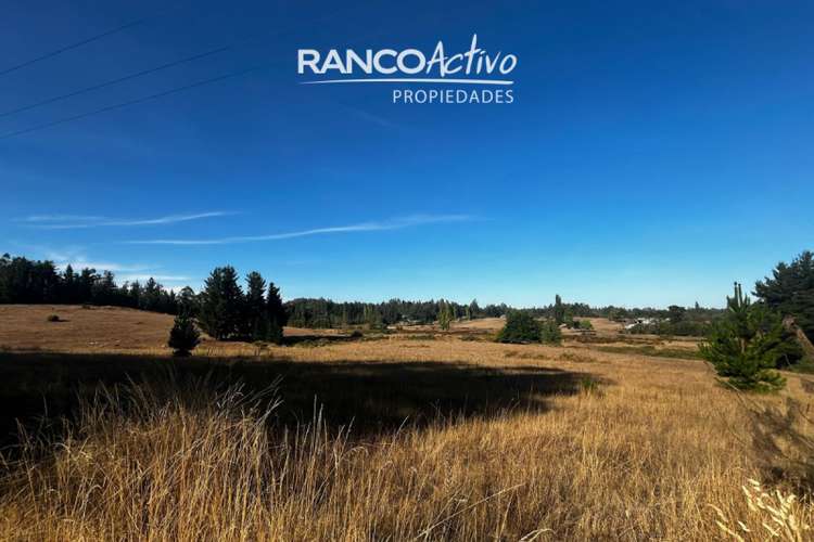 Sitio en venta en Padre las Casas - Imagen 10
