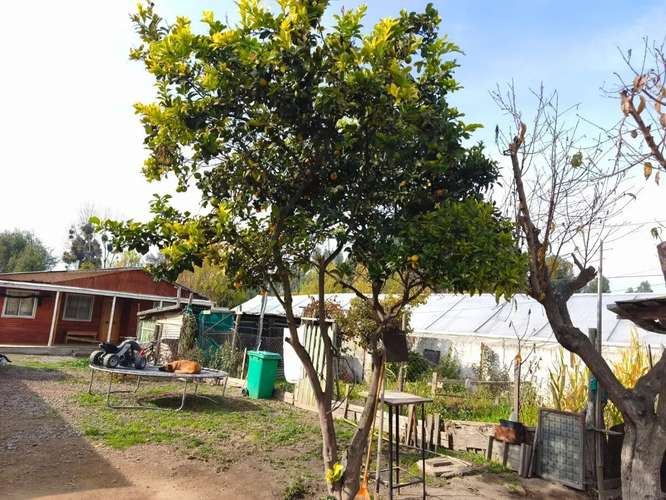 3 Casas Terminadas, Zona Lago Rapel, Borde Carretera - Imagen 11