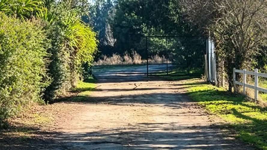1.35 H.  Zona De Lago Rapel, Hermoso Terreno. - Imagen 2