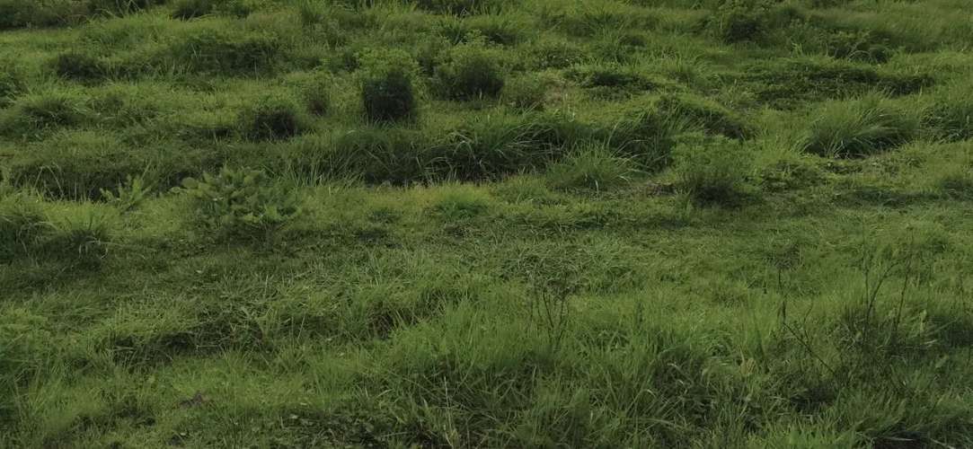 1.35 H.  Zona De Lago Rapel, Hermoso Terreno. - Imagen 13