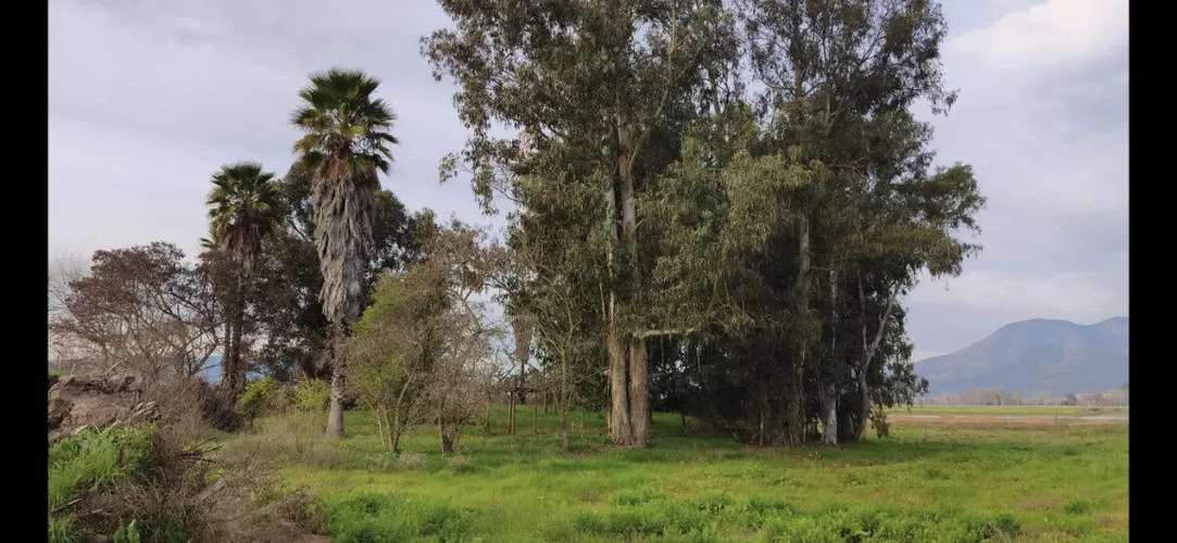 1.35 H.  Zona De Lago Rapel, Hermoso Terreno. - Imagen 11