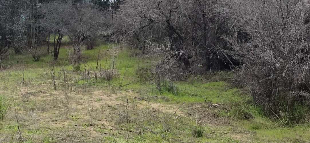 1.35 H.  Zona De Lago Rapel, Hermoso Terreno. - Imagen 15