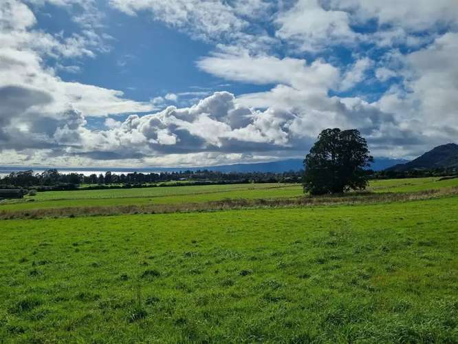 Se Vende Parcela Pumanque De 5.000 M2  Precio Conversable