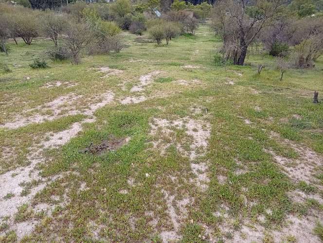 Oprtunidad parcela en zona Rapel  5000mt2