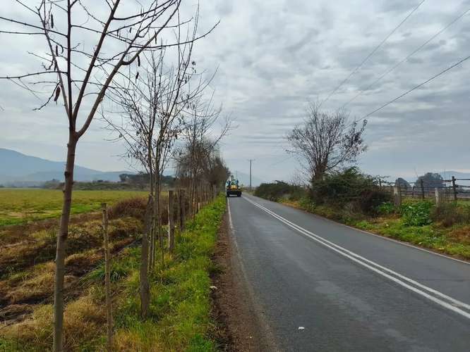 Parcela En Venta  7.000 M2 Llavería, Lago Rapel - Imagen 4