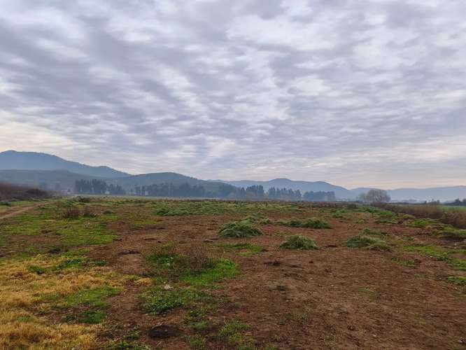 Parcela En Venta  7.000 M2 Llavería, Lago Rapel - Imagen 3