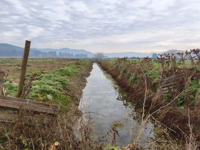 Parcela En Venta  7.000 M2 Llavería, Lago Rapel - Imagen 2