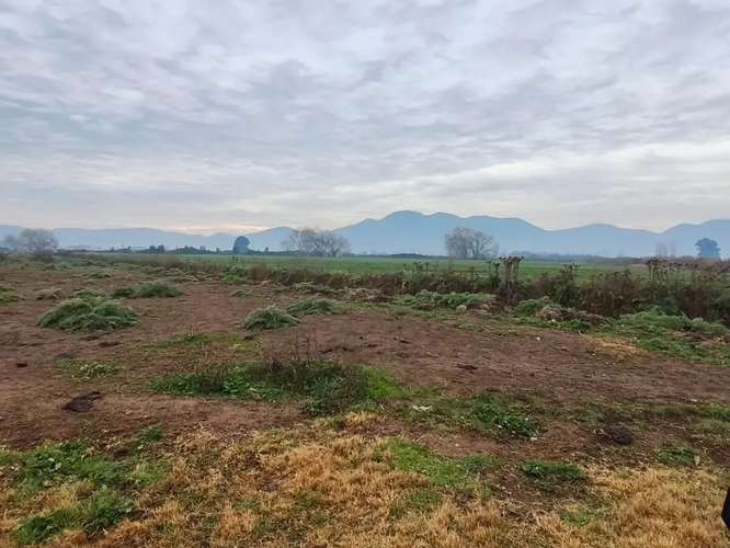 Parcela En Venta  7.000 M2 Llavería, Lago Rapel - Imagen 5