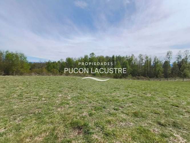 Parcela de 5.000 m²  Los Riscos, a pasos Pucón (187520) - Imagen 21