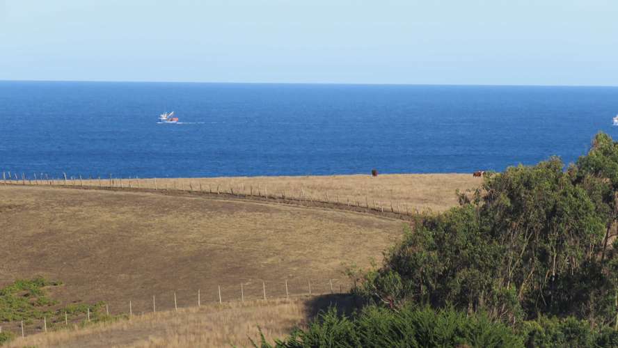 Pradera y Mar, Neguinto (187527)