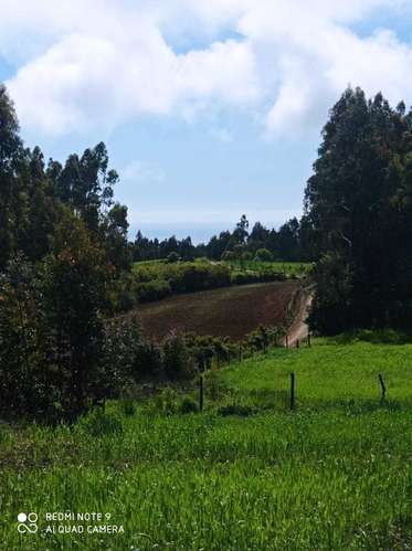 Santa Rita, Colmuyao (187530) - Imagen 2