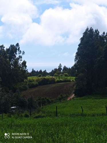 Santa Rita, Colmuyao (187530) - Imagen 8