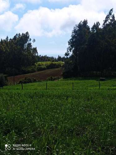 Santa Rita, Colmuyao (187530) - Imagen 5