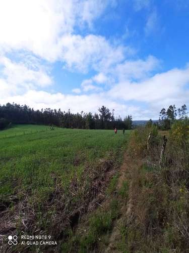 Santa Rita, Colmuyao (187530)