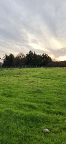 Atractiva Parcela el oliveto
