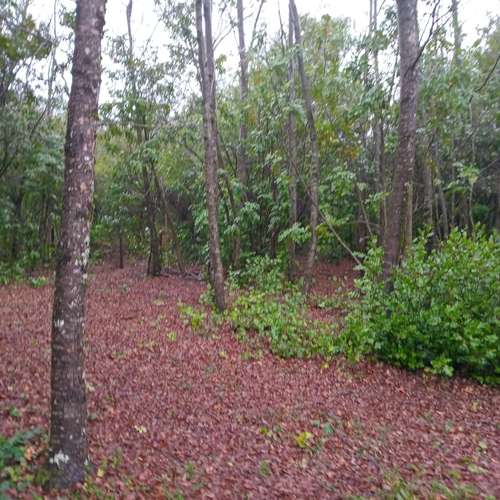 Terreno 5000m2 cercado con puntera de agua-El Avellano, Yungay