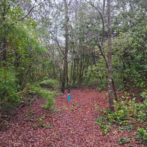 Terreno 5000m2 cercado con puntera de agua-El Avellano, Yungay