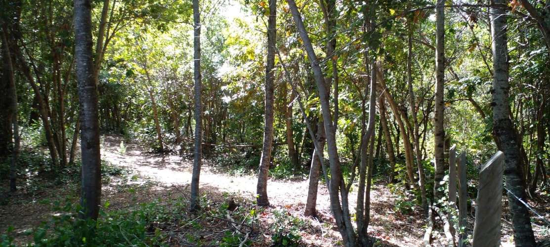 Terreno 5000m2 cercado con puntera de agua-El Avellano, Yungay