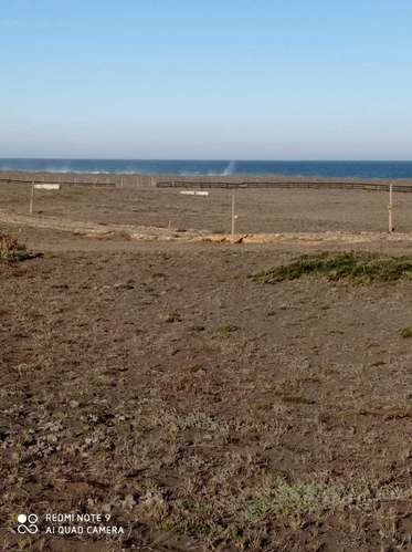 Los Medanos de Tregualemu. (187533)