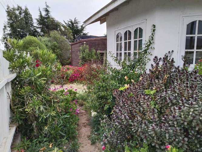 Hogar Luminoso y acogedor con Patio Encantador (186465)