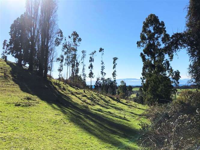 Gran Oportunidad Parcela Lago Ranco Sector Ignao 5000 m2 - Imagen 6