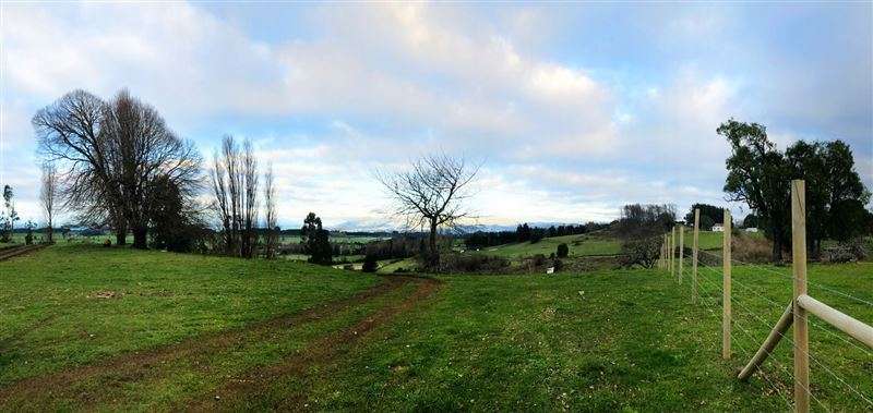 Gran Oportunidad Parcela Lago Ranco Sector Ignao 5000 m2 - Imagen 14