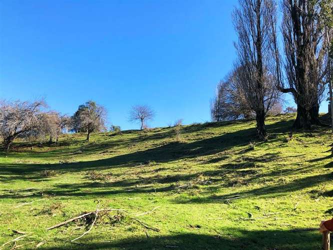 Gran Oportunidad Parcela Lago Ranco Sector Ignao 5000 m2 - Imagen 10