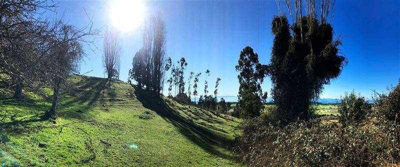 Gran Oportunidad Parcela Lago Ranco Sector Ignao 5000 m2 - Imagen 4