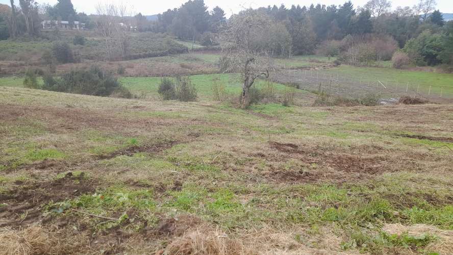 PARCELA EN VENTA EN MUY BUEN SECTOR DE LA HUELLA