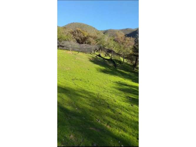 Terreno en Venta Curacaví.